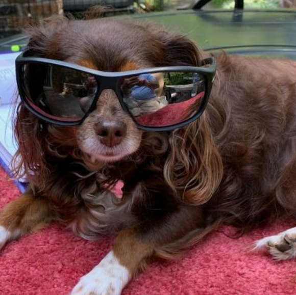 Meet your Posher. - Picture 1 of 1